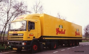 DAF-95 GROLSCH