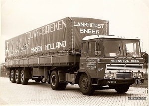 DAF-2600