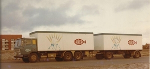 DAF-2600