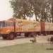 DAF-2600