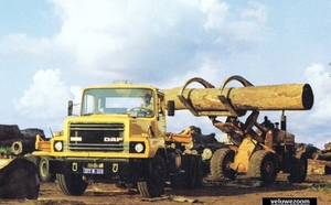 DAF-2800