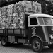 DAF-7Streper
