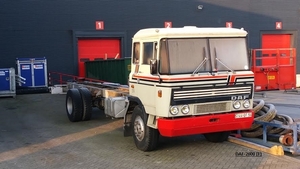 DAF-2600