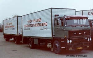 DAF-2800