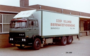 DAF-2000