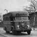 DAF-7Streper