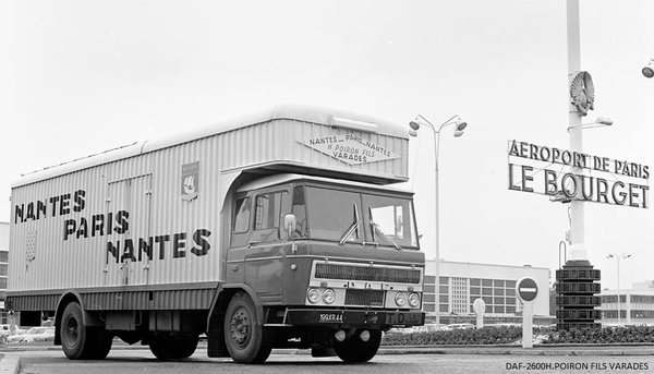 DAF-2600