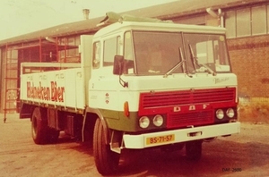 DAF-2600