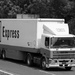 DAF-95 TNT