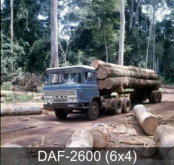 DAF-2600