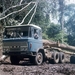 DAF-2600