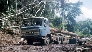 DAF-2600