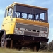 DAF-2600