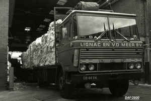 DAF-2600