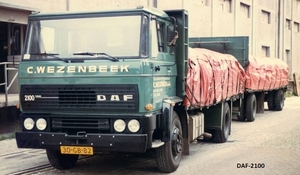 DAF-2100