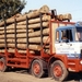 DAF-2500