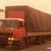DAF-2600