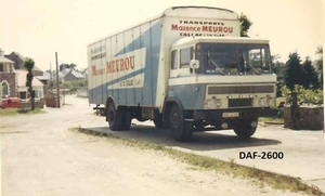 DAF-2600