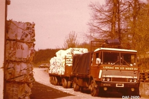 DAF-2600