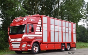 DAF-CF