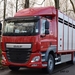 DAF-CF