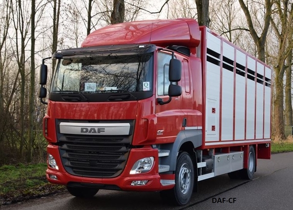 DAF-CF