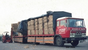 DAF-2600