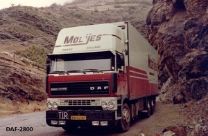 DAF-2800