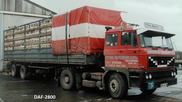 DAF-2800