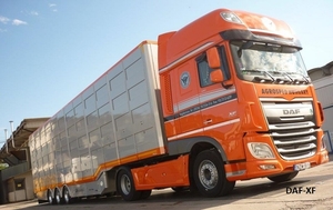 DAF-XF