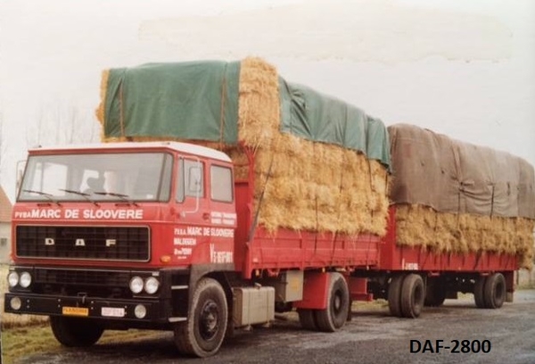 DAF-2800