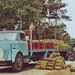 DAF-A16