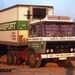 DAF-2600