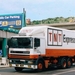 DAF-95