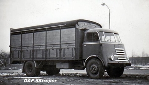 DAF-6Streper