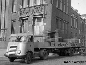 DAF-7 Streper