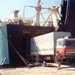 DAF-2600