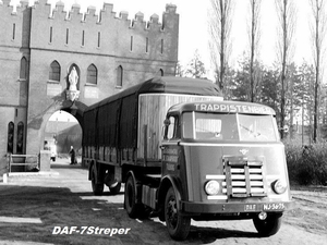 DAF-7Streper