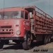 DAF-1900