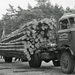 DAF-6Streper