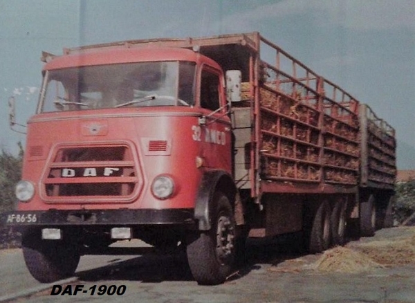 DAF-1900