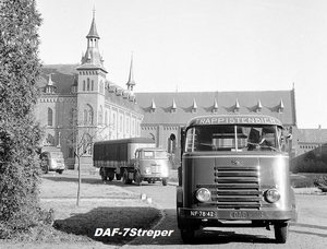 DAF-7Streper