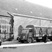 DAF-7Streper