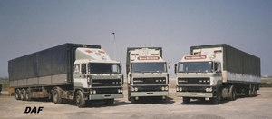 DAF-3300