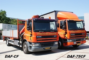 DAF-CF/DAF75-CF
