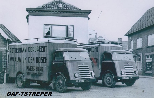 DAF-C  (1955) 7 STREPER