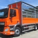 DAF-CF