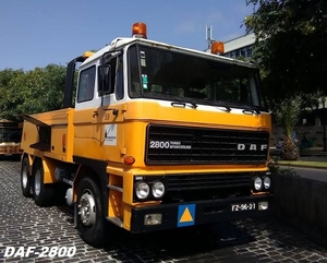 DAF-2800