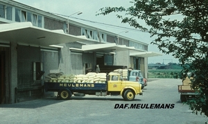 DAF-TOPEDO