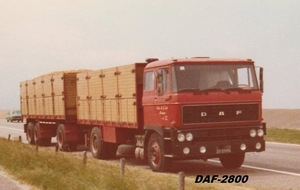 DAF-2800